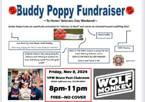 Buddy Poppy Fundraiser