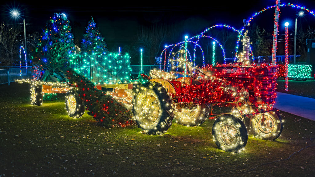 Tunnel of Lights Decoration